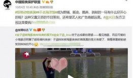 圈内人士爆料金子涵人品,圈内人士揭秘，她的人品究竟如何？